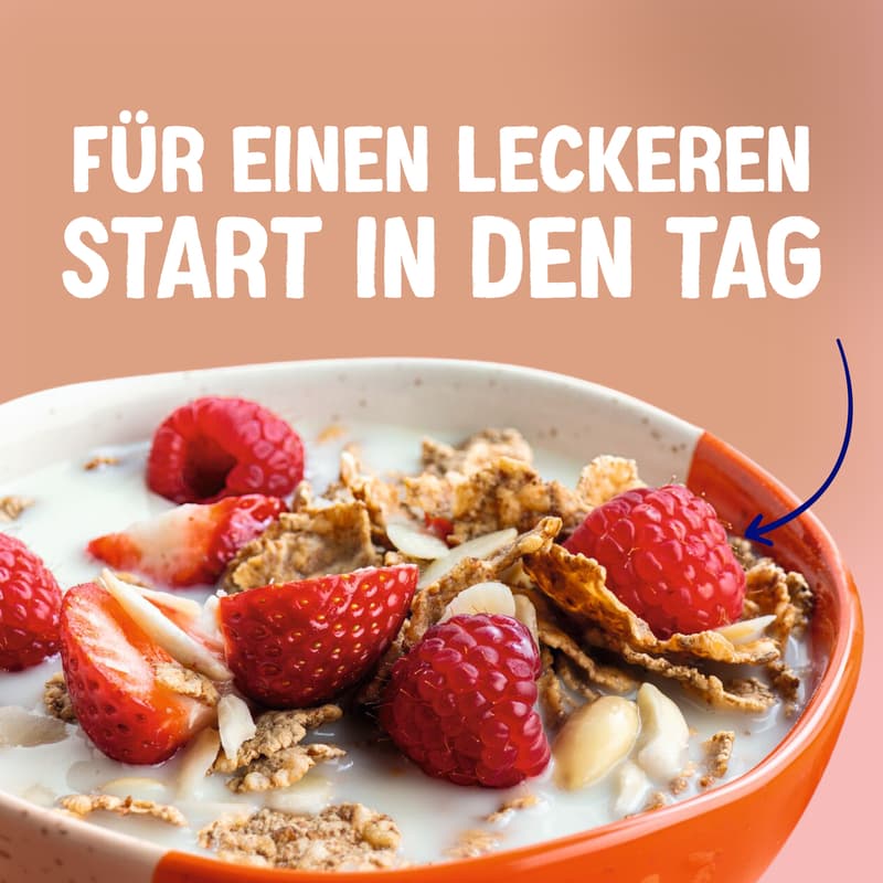 Alpro Oat Drink Without Sugar