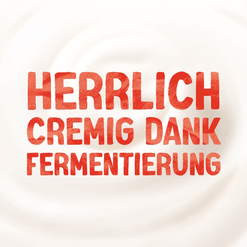 Alpro Skyr Style Joghurtalternative Ohne Zucker VEGAN