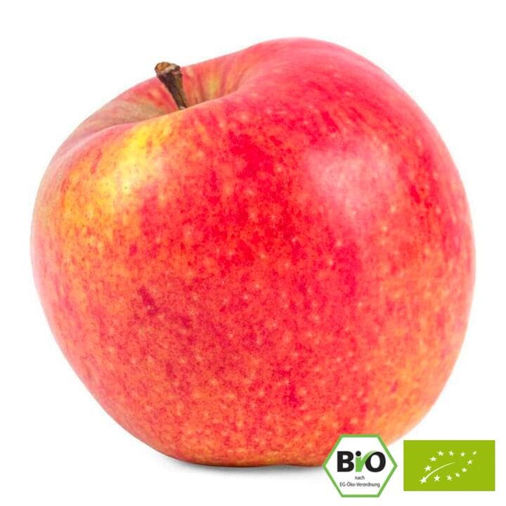 BIO Apfel Jonagold, 1 Stk.