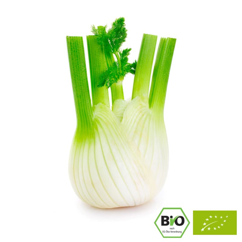 Bio Fenchel, 1 Stk.