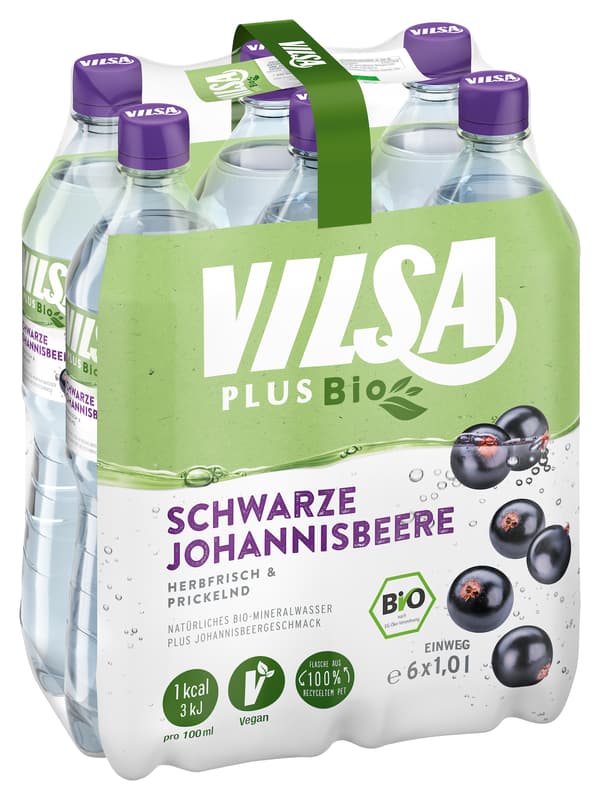 Vilsa Plus BIO Schwarze Johannisbeere 6x1 l PET (EINWEG)