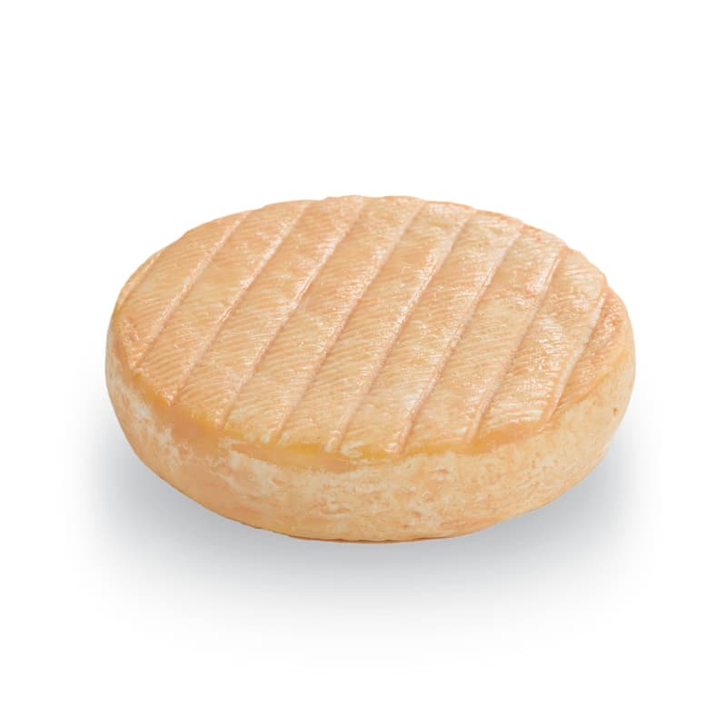 Tölzer Kasladen Munster