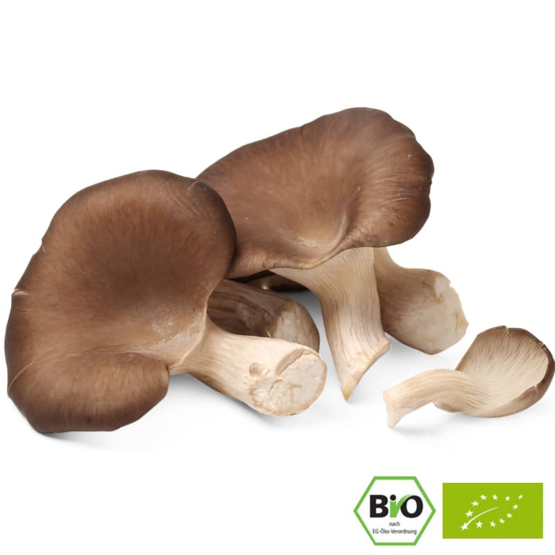 Organic oyster mushrooms, shell