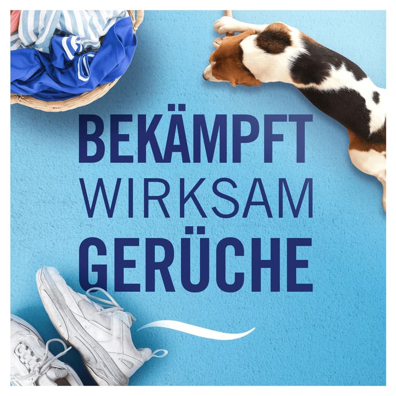 Febreze Amethyst Blütentraum Lufterfrischer Raumduft Spray