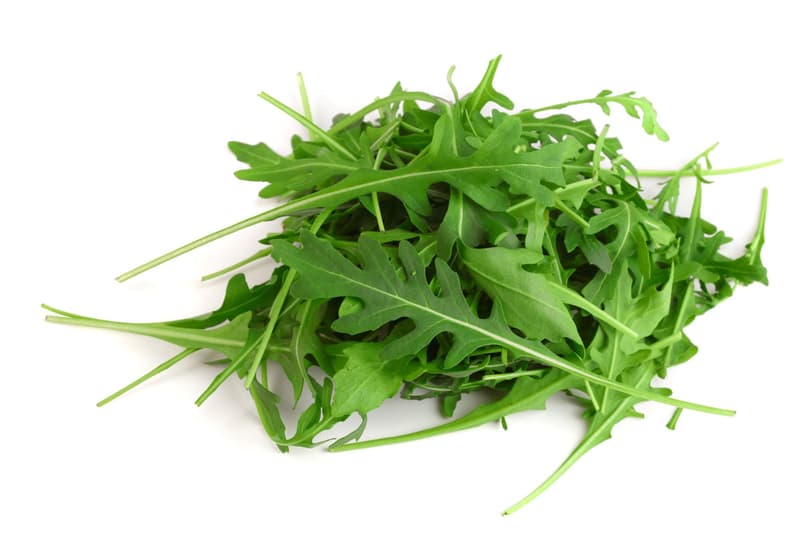 Keltenhof Rucola