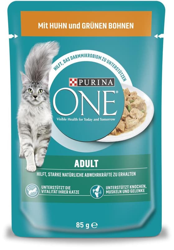 Purina One Adult with Chicken and Green Beans