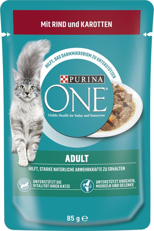 Purina One Adult with Beef and Carrots