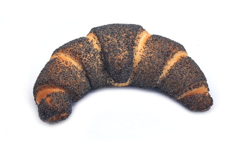 Exner Mohnhörnchen