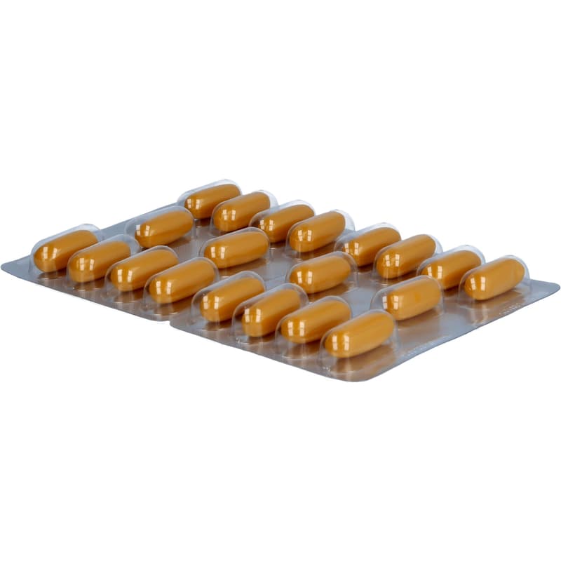 DOUBLEHERZ Sea Fish Oil Omega-3 1,000 mg + Fols. Caps.