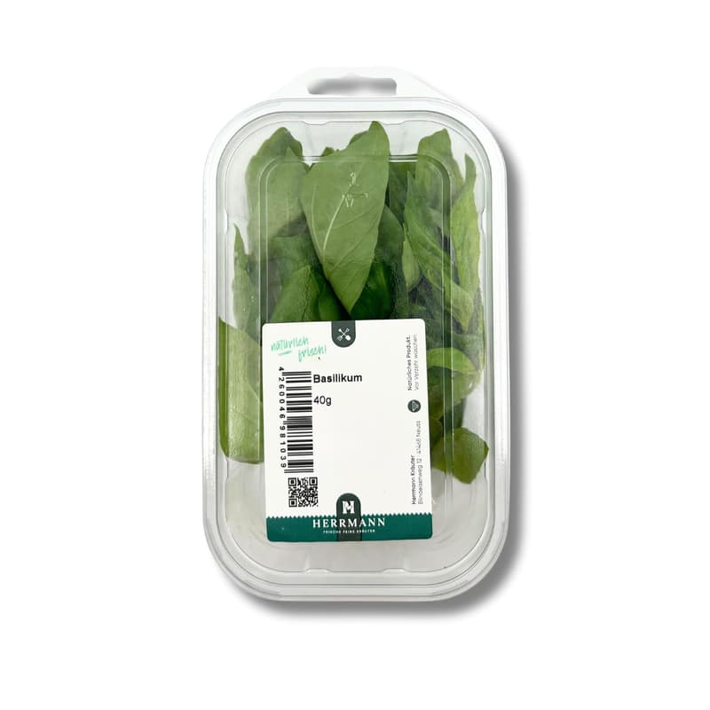 Basil