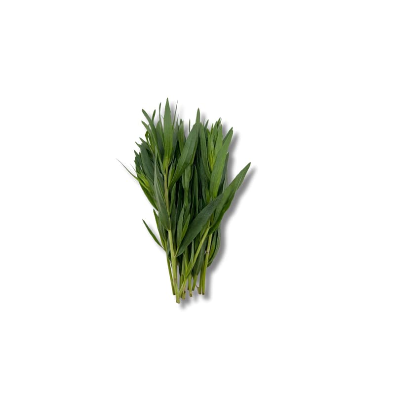 Tarragon