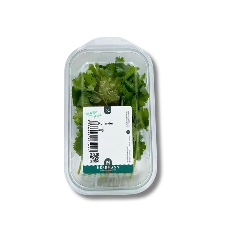 Coriander