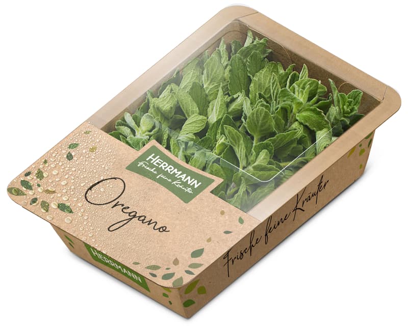 Oregano