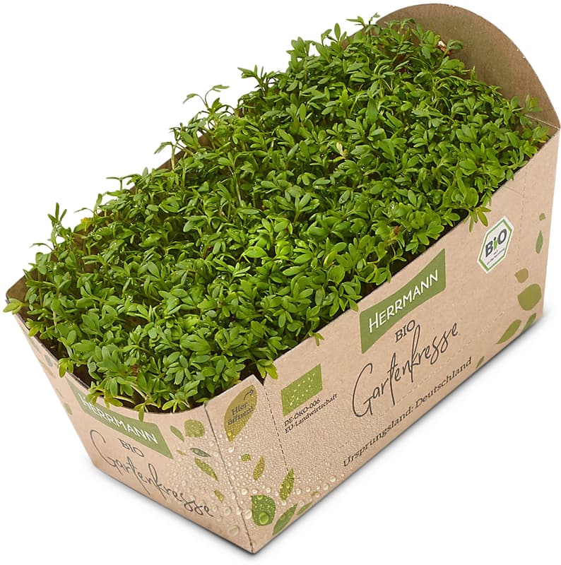 BIO Gartenkresse, Schale