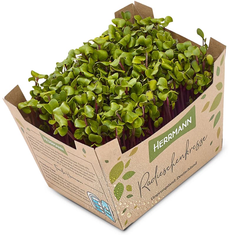Organic radish cress