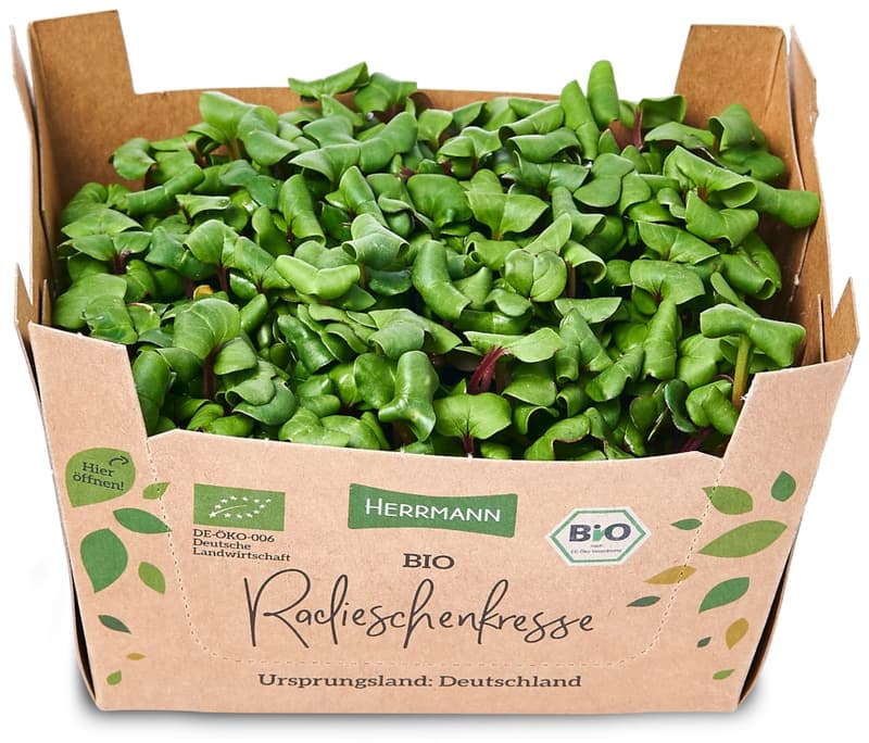Organic radish cress