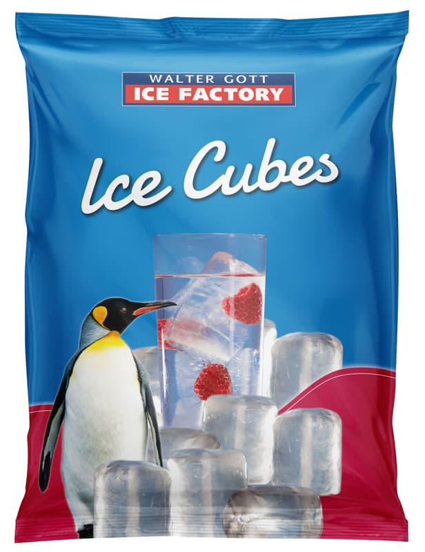 Ice Factory ice cubes