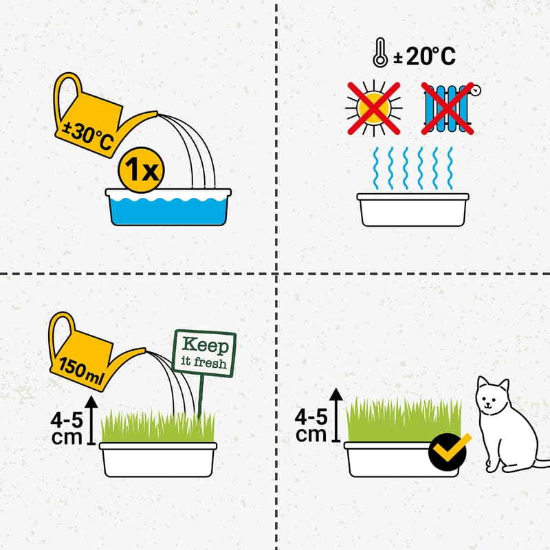GimCat Hydro-Grass