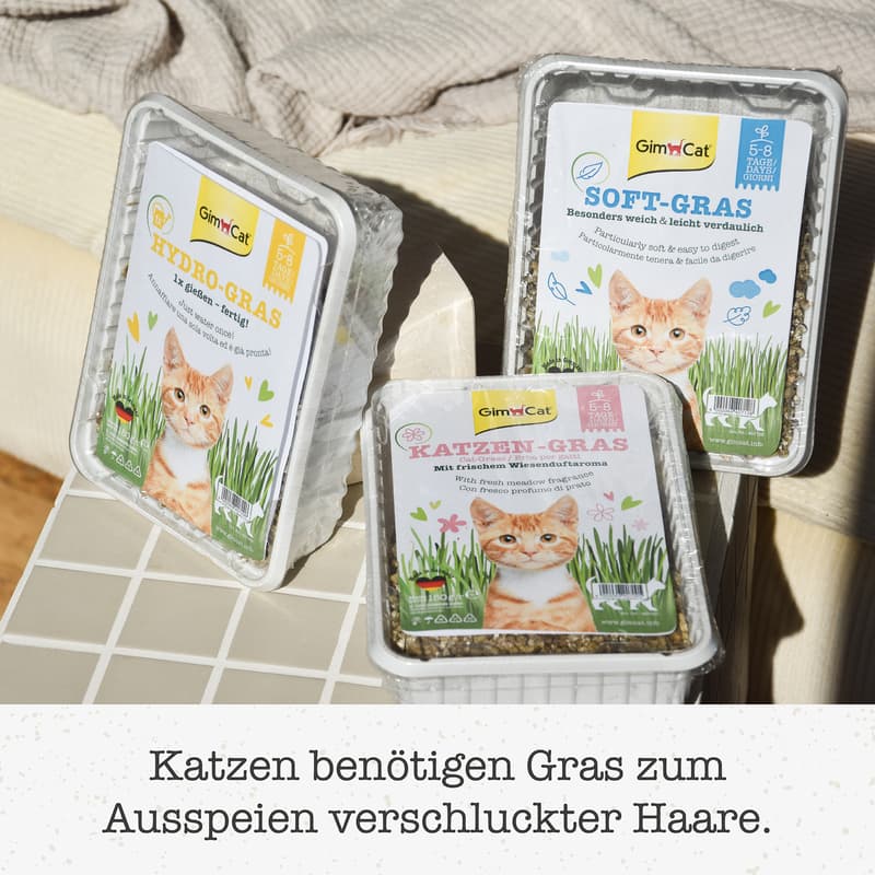 GimCat Hydro-Grass