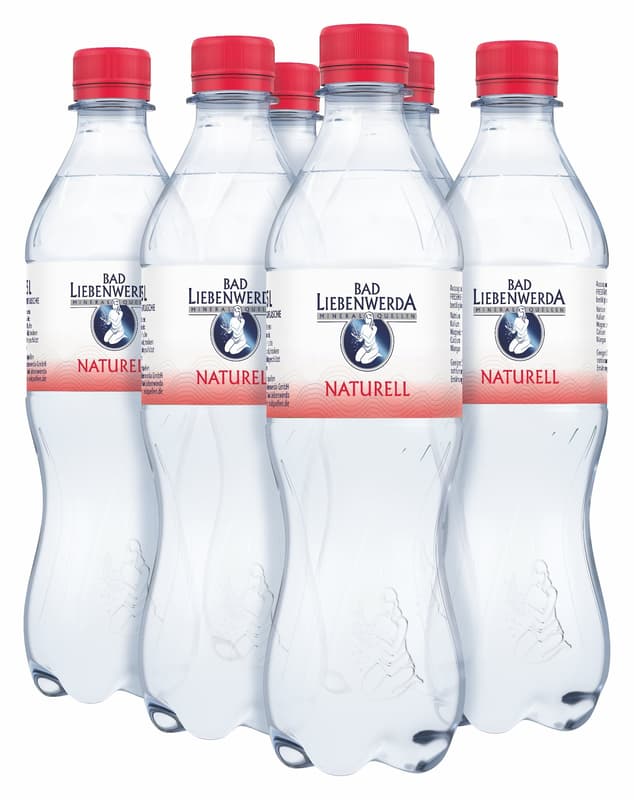 Bad Liebenwerda Naturell 6x0,5l (EINWEG)