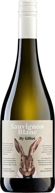 Sauvignon Blanc trocken HASE BIO 2023