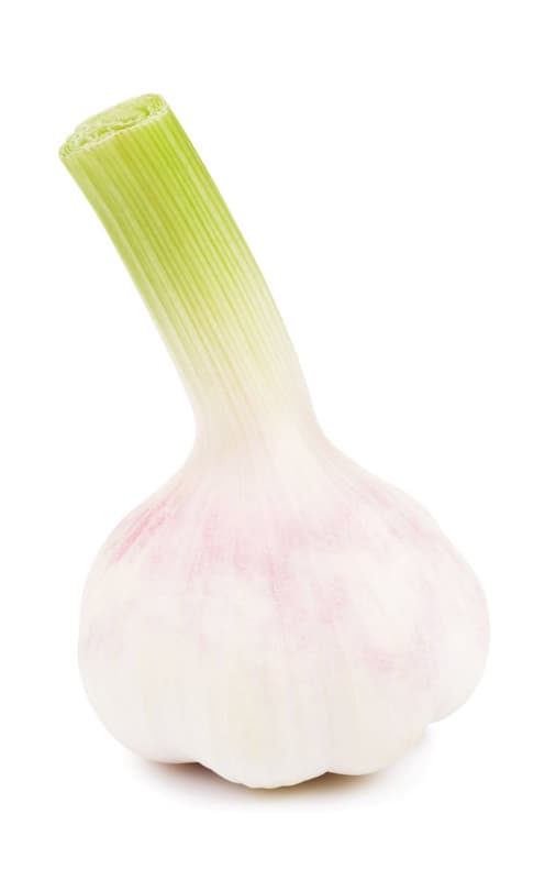 Angermeiers Knoblauch frisch, 1 Stk.