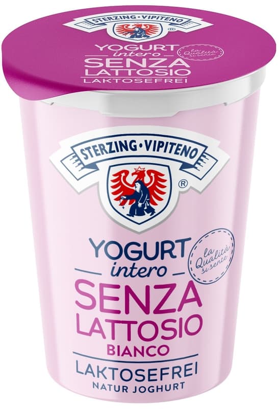 Whole milk yogurt lactose free 500 g - natural