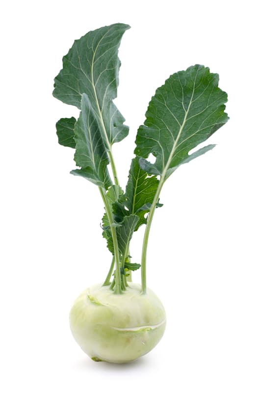 Watzkendorf's BIO Kohlrabi, 1 Stk.