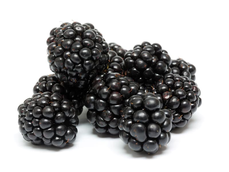 Bio Brombeeren, Schale