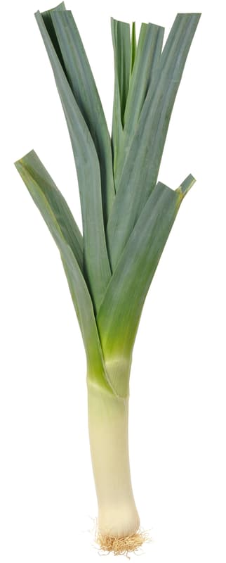 Leek, 1 pc.