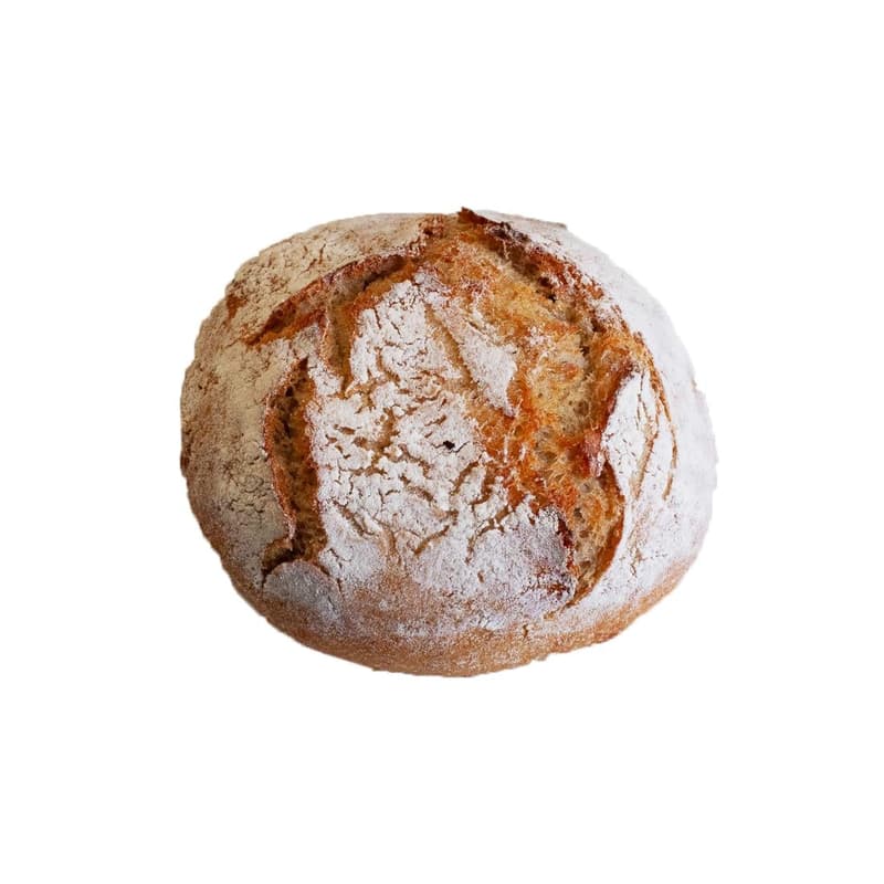 Wiener Brot BIO Kartoffelbrötchen