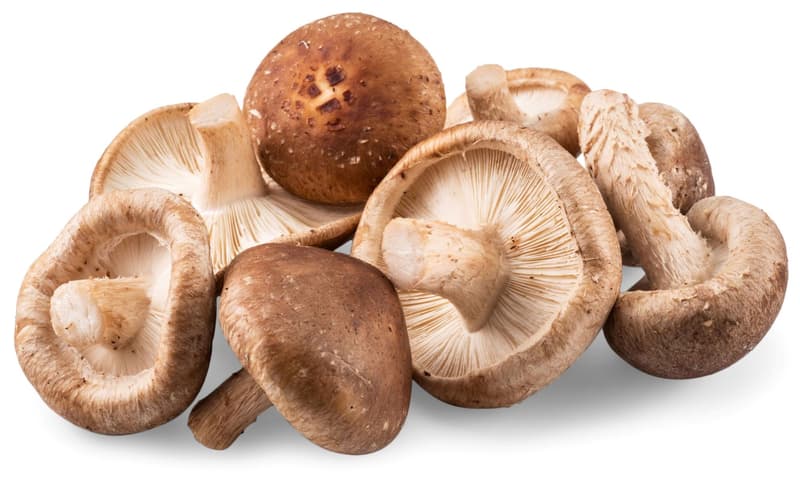 Organic shiitake, shell