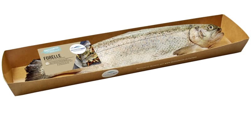 German Lake Trout Whole