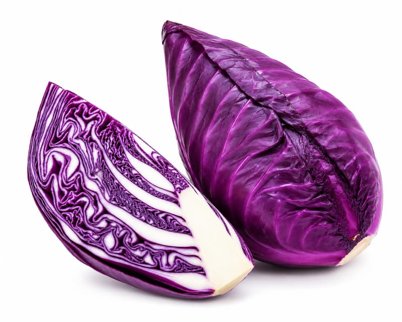 Reinheimer's Lila Spitzkohl