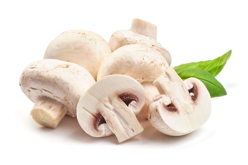 BIO Champignon Weiß, Schale