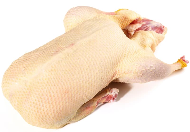Duck fresh