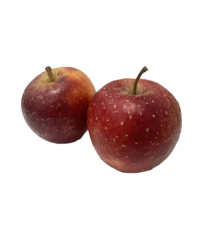 Eckhoffs Wellant, 1 pc.