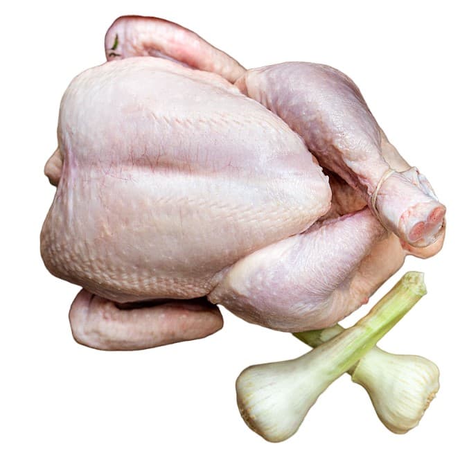 Soup Chicken 