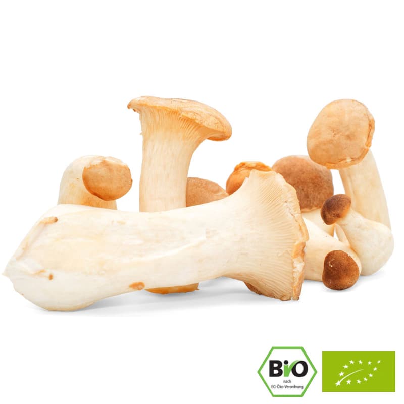 Organic king oyster mushrooms, shell