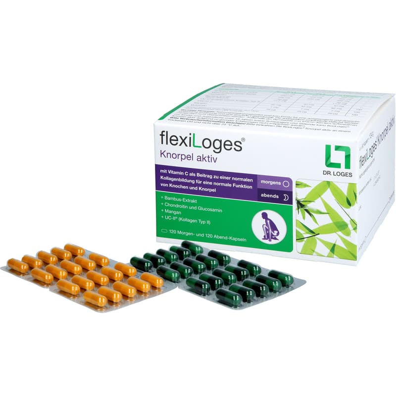 FLEXILOGES Knorpel aktiv Kapseln