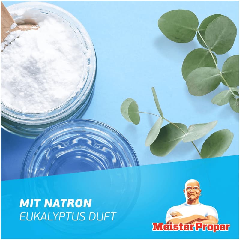 Meister Proper All-Purpose Floor Cleaner Baking Soda - Eucalyptus Scent