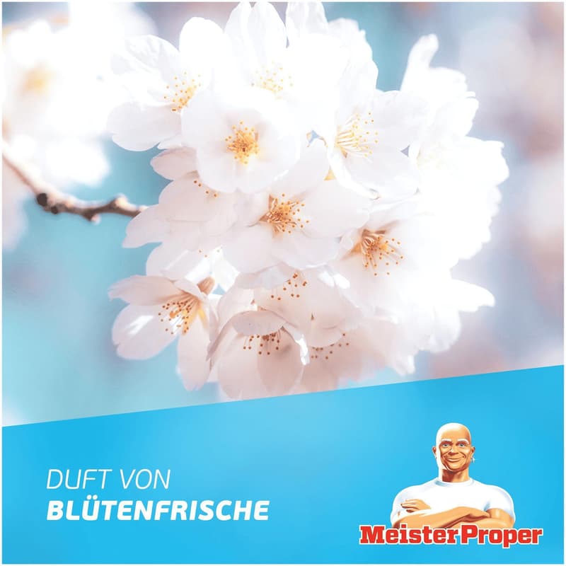 Meister Proper Antibacterial Bathroom Cleaner Blossom Freshness
