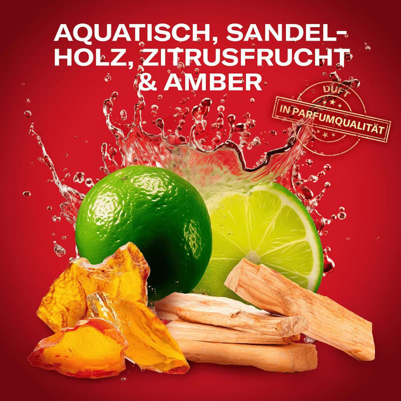 Old Spice Whitewater Deodorant Stick für Männer