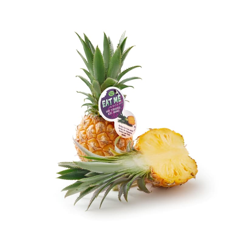 Baby Pineapple, 1 pc.