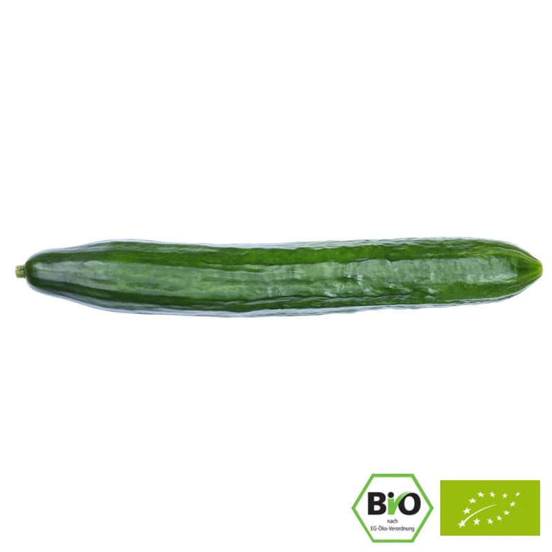 BIO Gurke, 1 Stk.