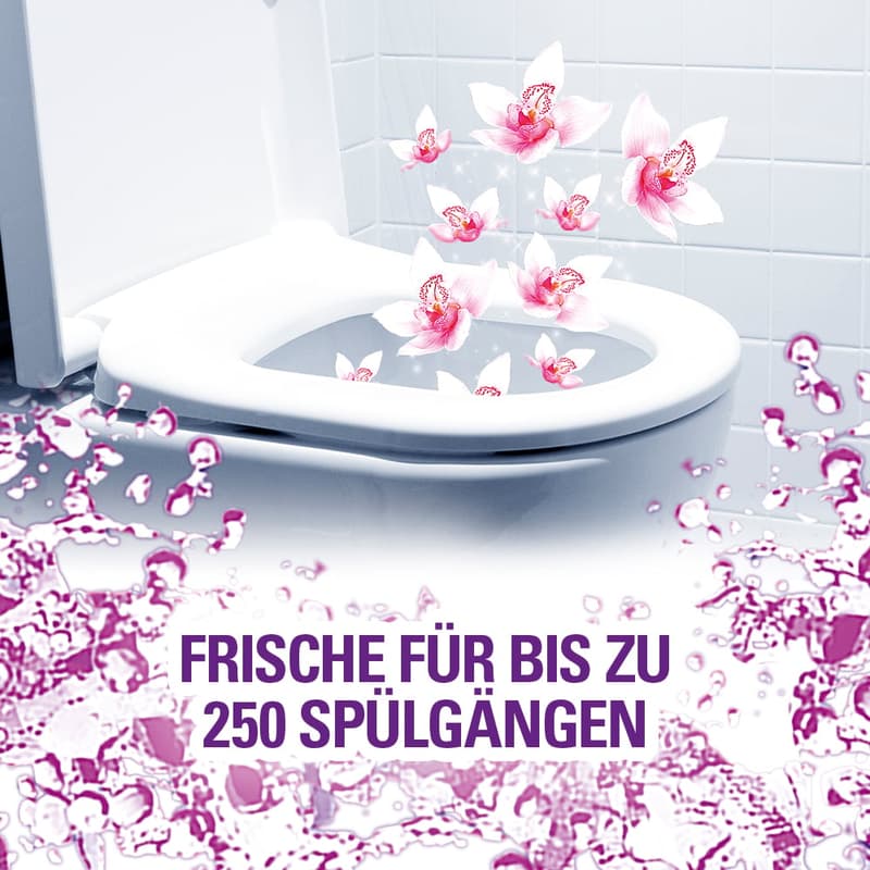 Cillit Bang 6in1 WC Fragrance & Colour Rinse Aid Wild Orchid Duo