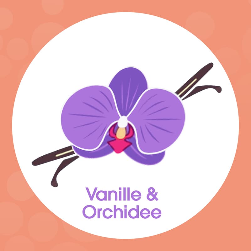 Sagrotan Velvet Foam Soap Vanilla & Orchid