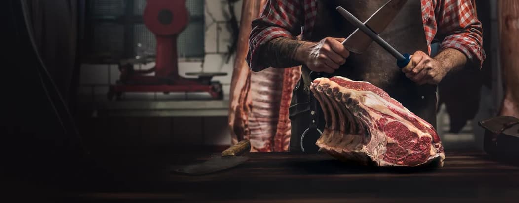 KNUSPR DE DAS BESTE DER STADT IN 3 STUNDEN GELIEFERT intelligence overview