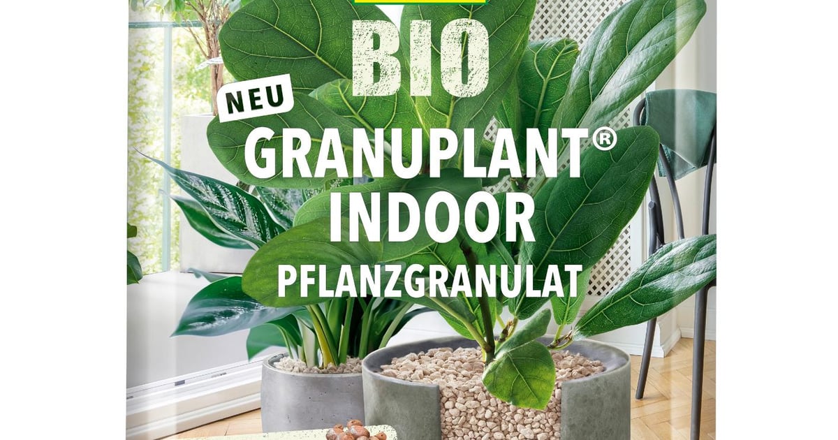 COMPO BIO GRANUPLANT Indoor Pflanzgranulat