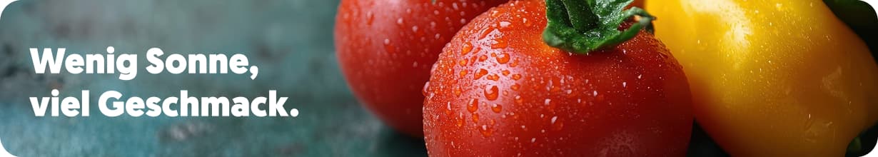 🌤️ Sonne in Spanien